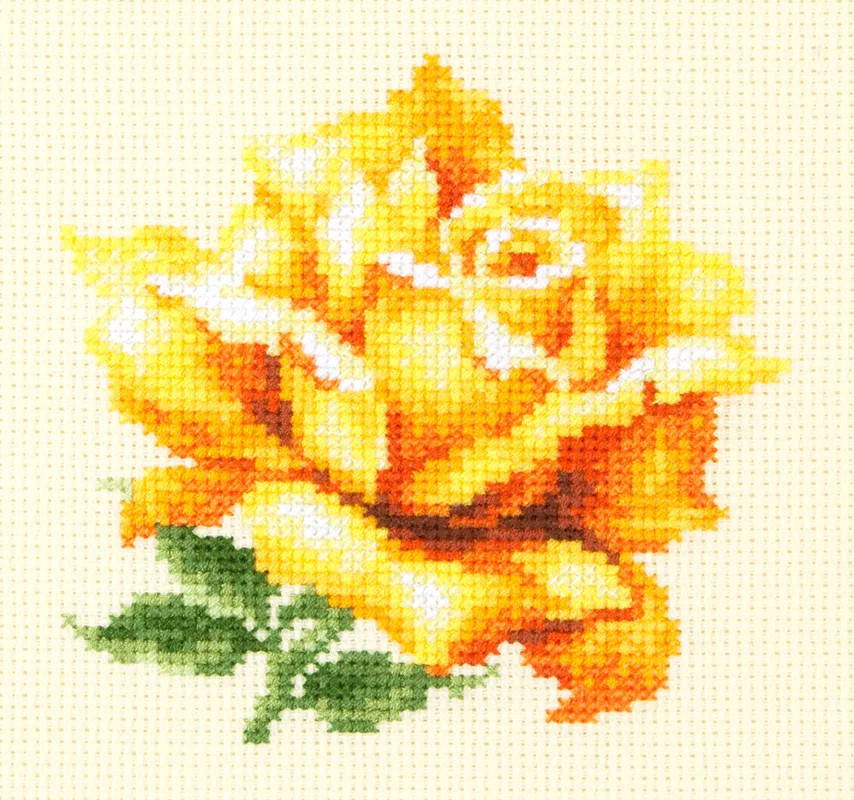 2026_06_29_349953