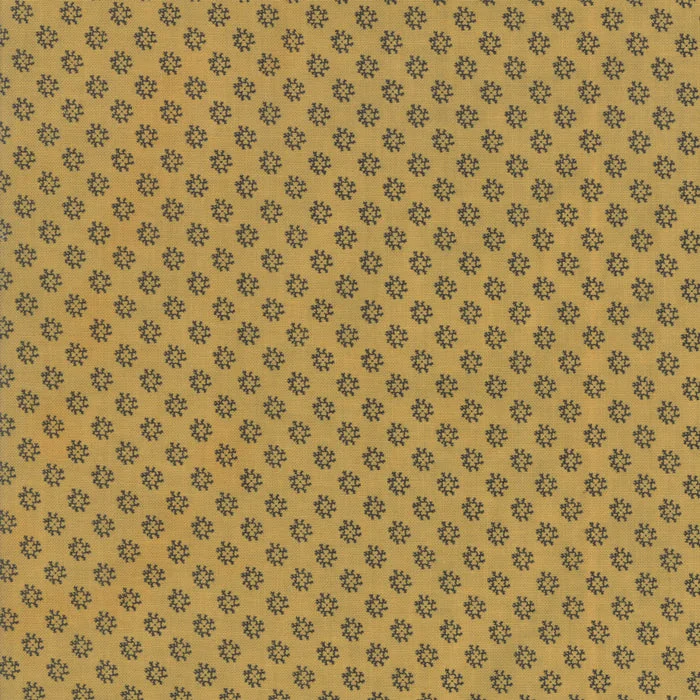 2026_06_29_359176