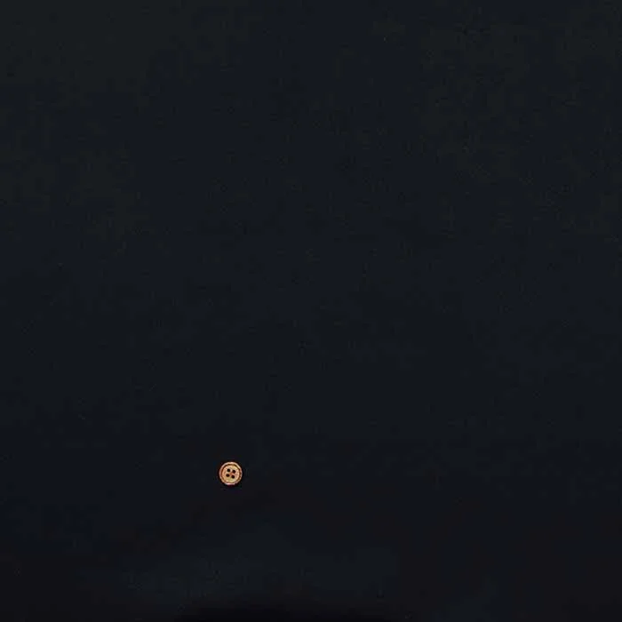 2026_06_29_404244