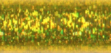 2026_06_30_423879