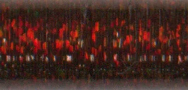 2026_06_30_423888