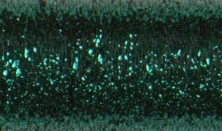 2026_06_30_423950