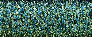 2026_06_30_423974