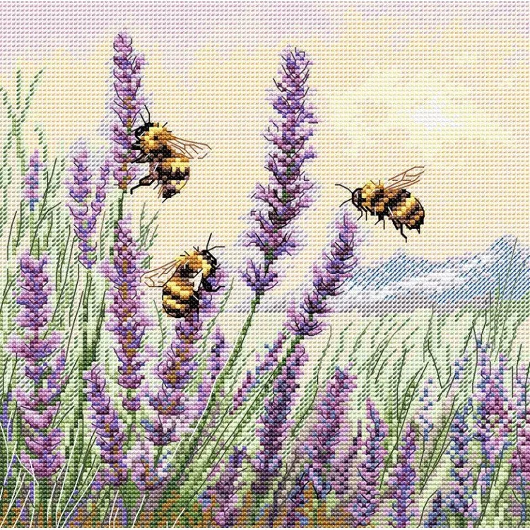 2026_06_30_427081