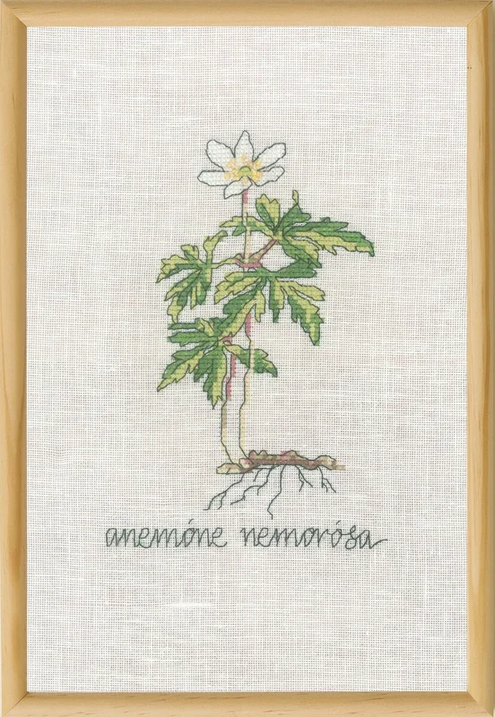 lindehobby20260629170553365232